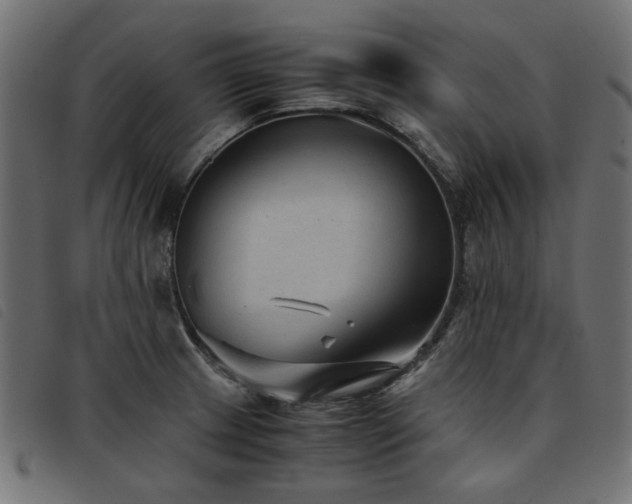 X0000093771233200710161236