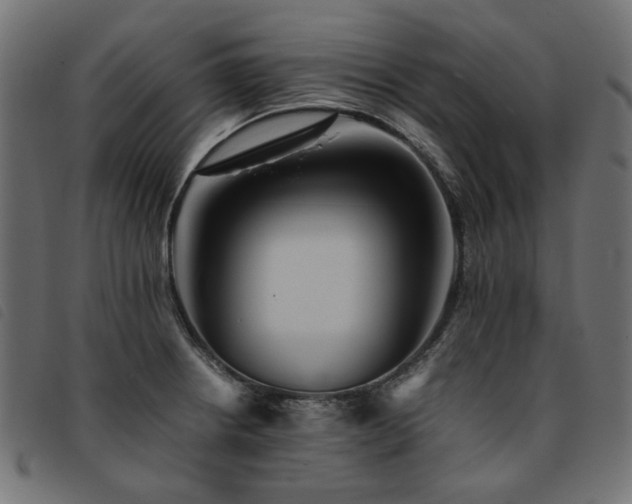 X0000093771234200710161236