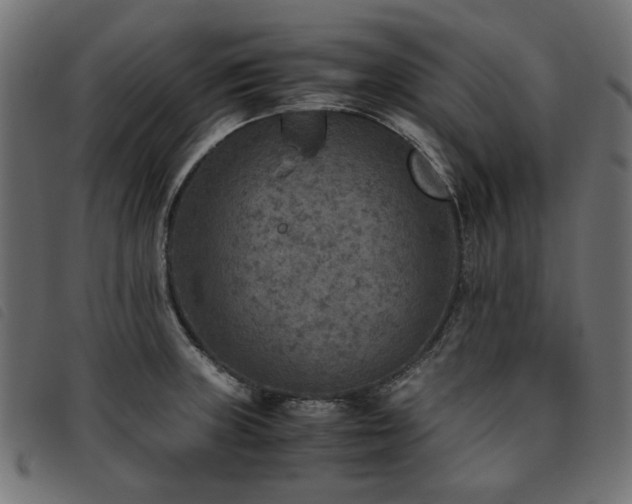 X0000093771235200710161236