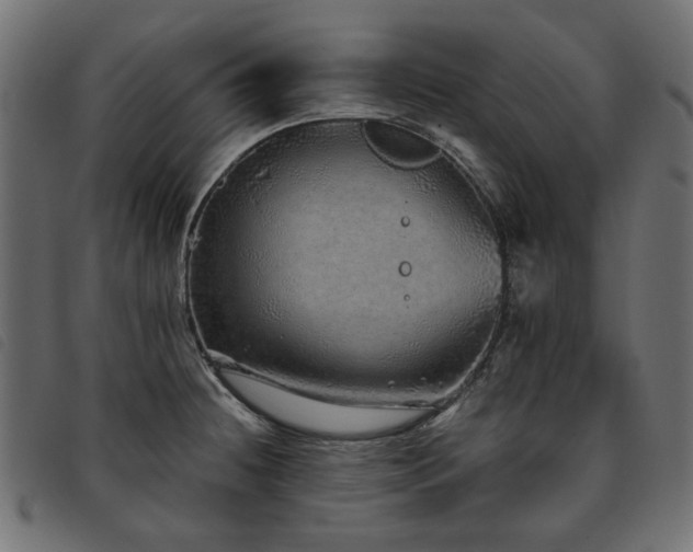 X0000093771236200710161236