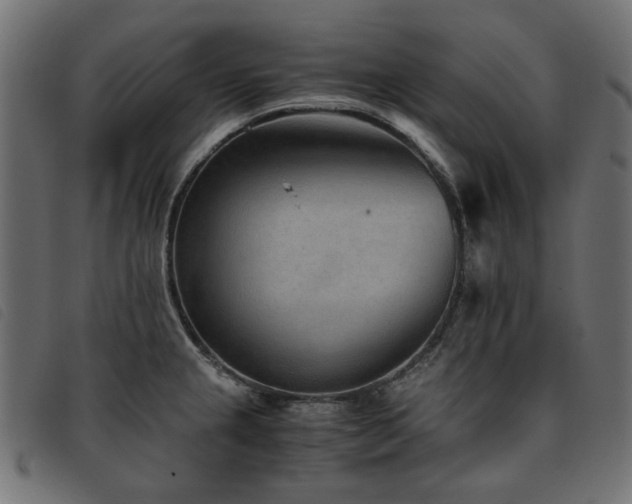 X0000093771237200710161236