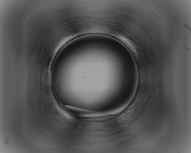 X0000093771238200710161236