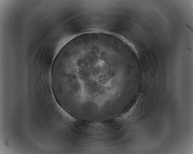 X0000093771239200710161236