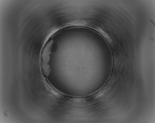 X0000093771240200710161236