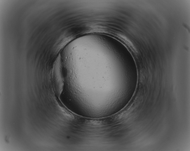 X0000093771241200710161236