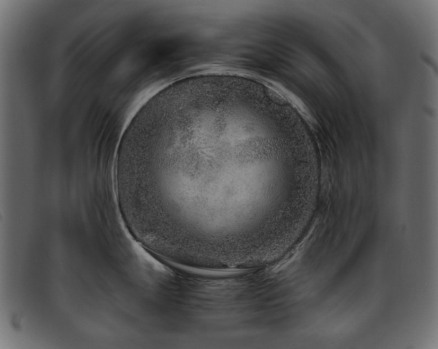 X0000093771247200710161236