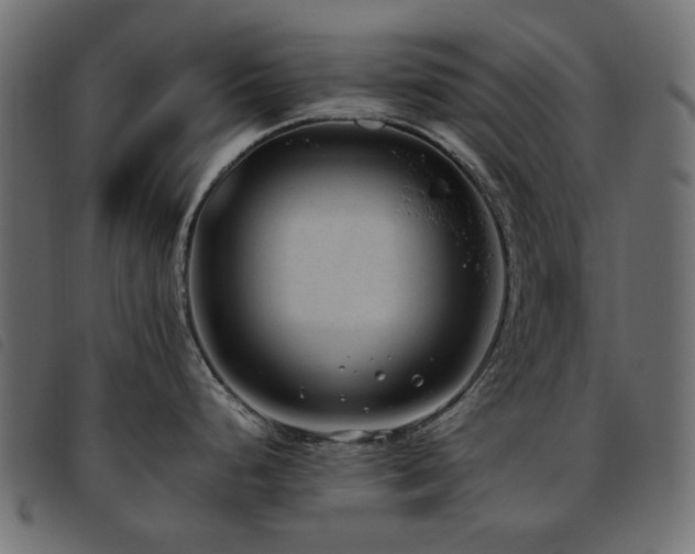 X0000093771248200710161236