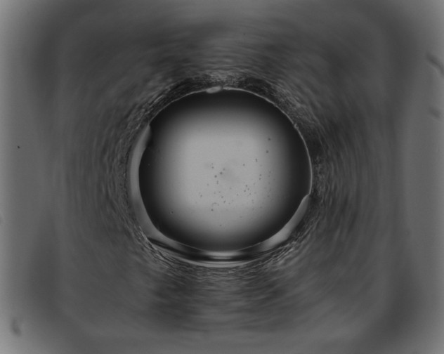 X0000093771249200710161235
