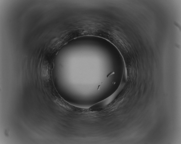 X0000093771250200710161235