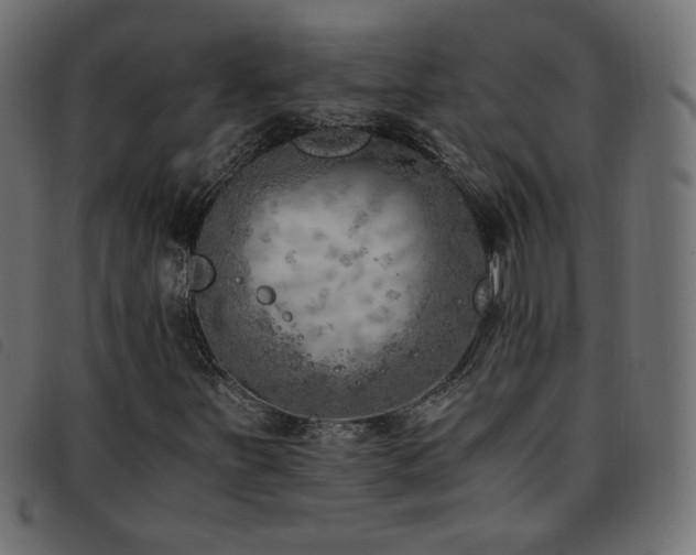 X0000093771251200710161235