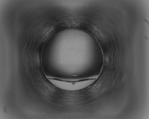 X0000093771252200710161235
