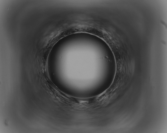 X0000093771253200710161235