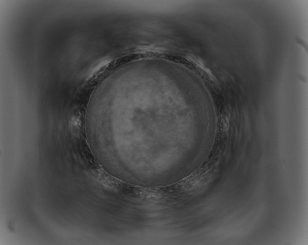 X0000093771254200710161235