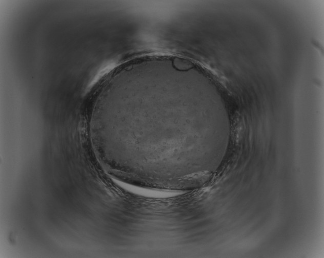 X0000093771255200710161235