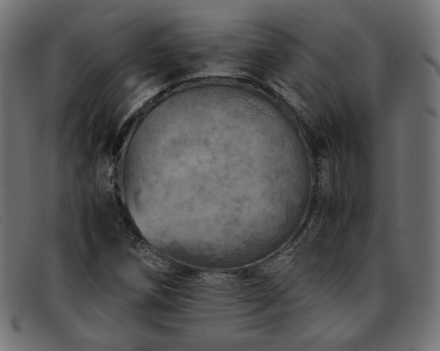 X0000093771258200710161235