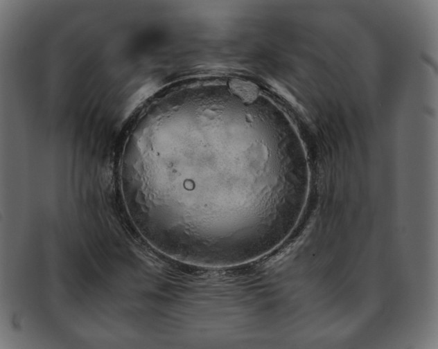 X0000093771259200710161235