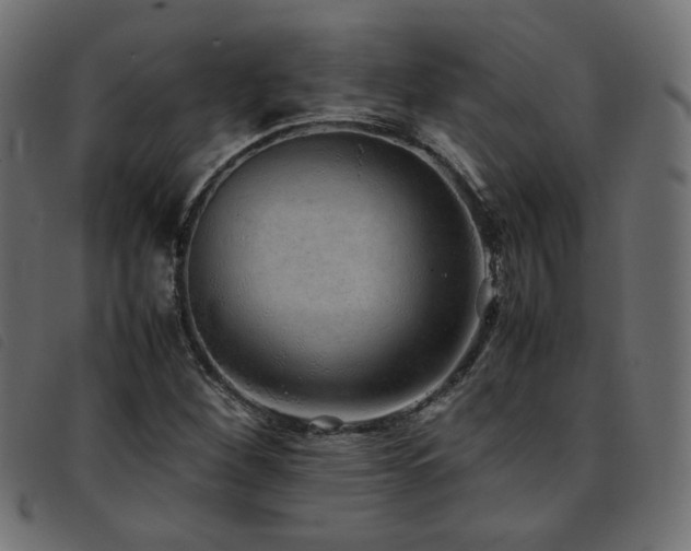 X0000093771260200710161235