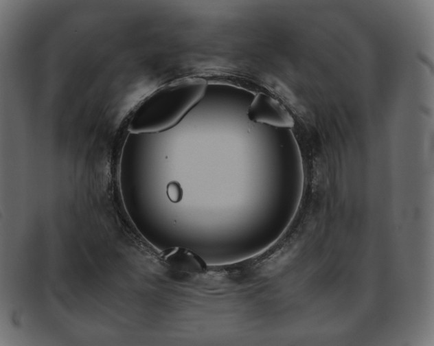 X0000093771261200710161235