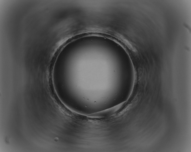 X0000093771264200710161235