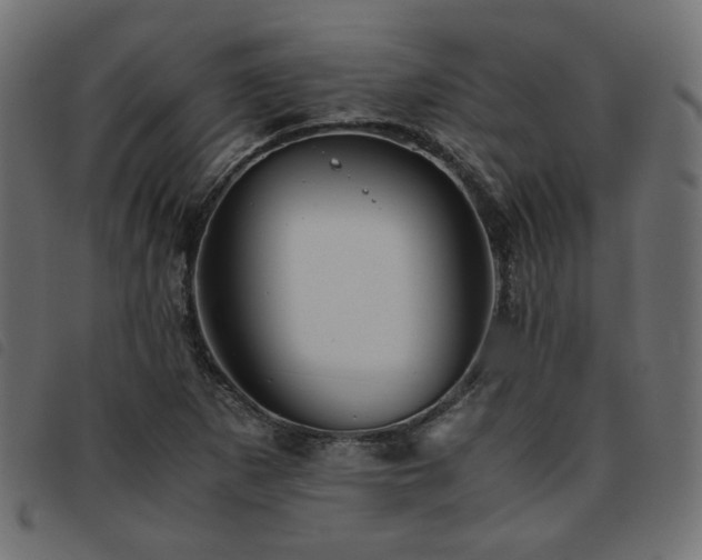 X0000093771265200710161235