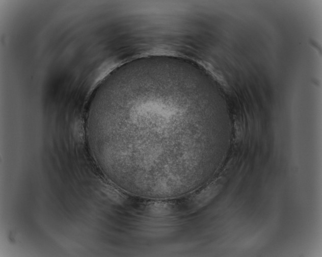 X0000093771266200710161235