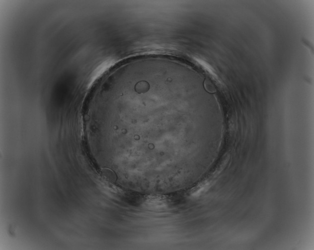 X0000093771267200710161235