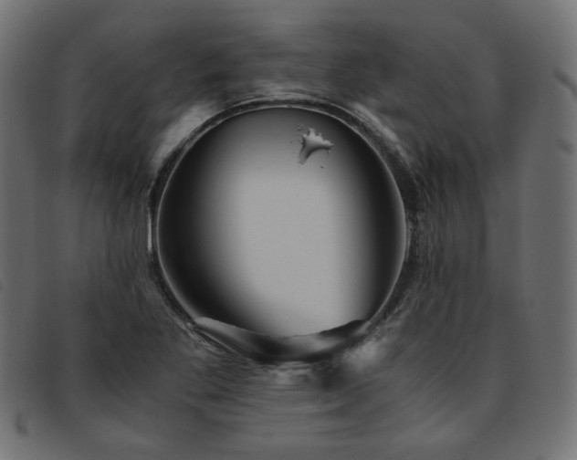 X0000093771269200710161235