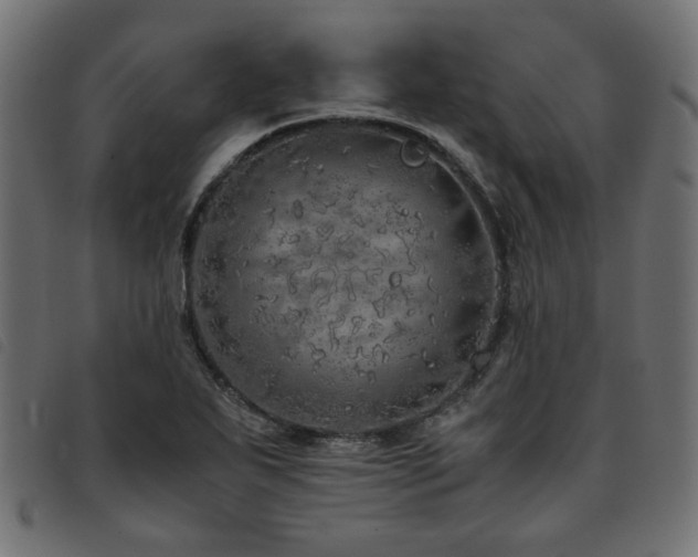 X0000093771271200710161235