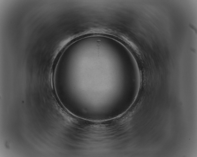 X0000093771272200710161235
