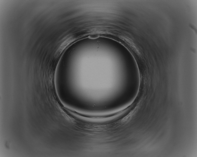 X0000093771273200710161235