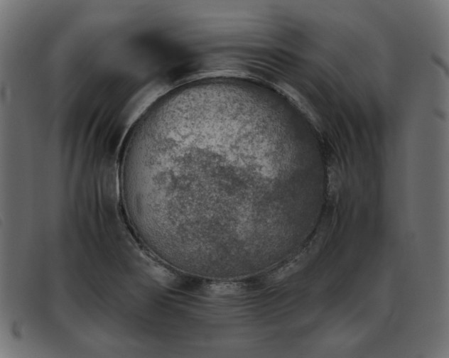 X0000093771274200710161235