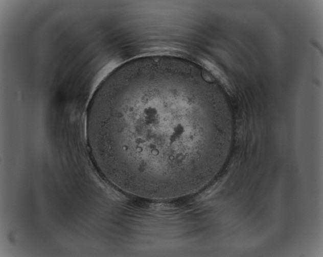 X0000093771275200710161235
