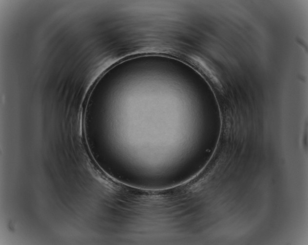 X0000093771276200710161235