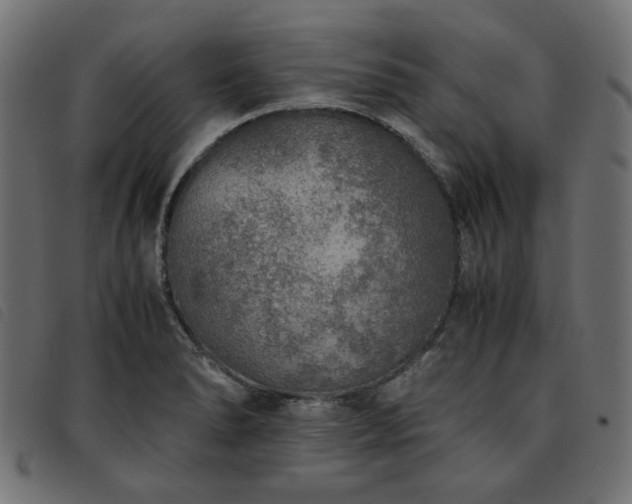 X0000093771278200710161235