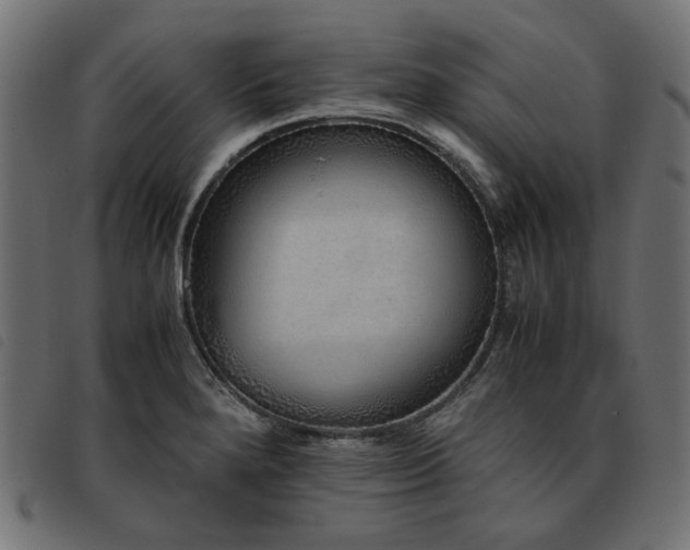 X0000093771280200710161235