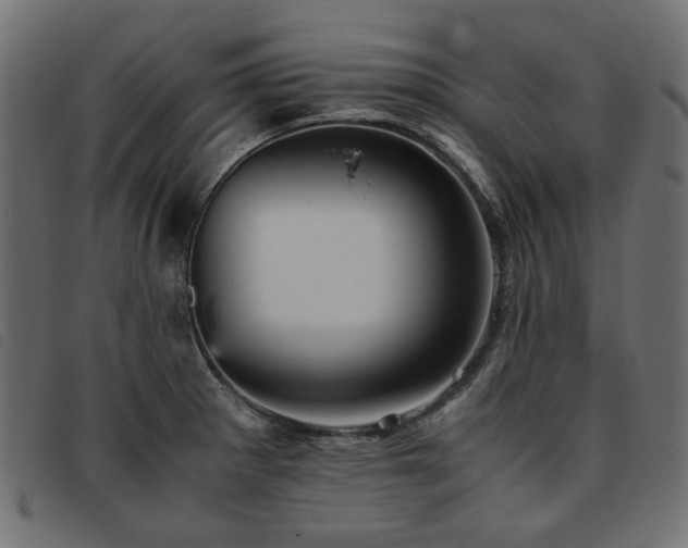 X0000093771281200710161235