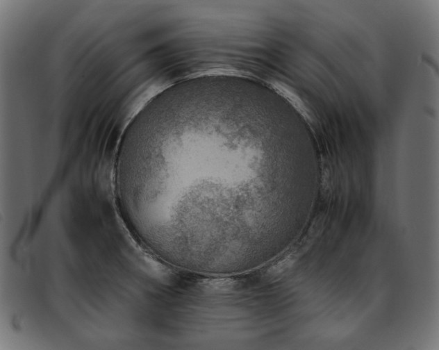 X0000093771282200710161235