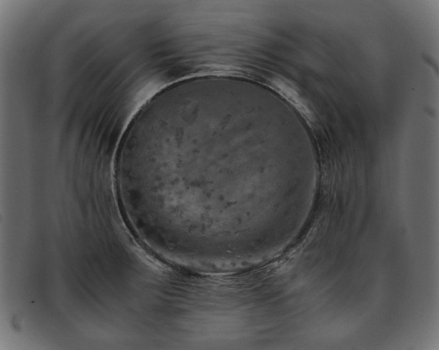 X0000093771283200710161235