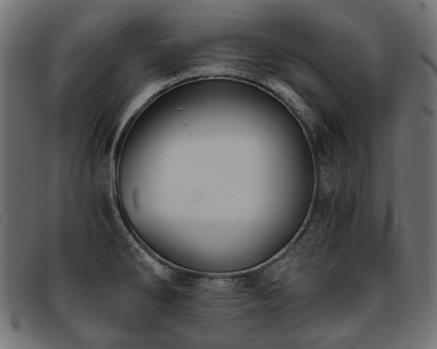 X0000093771286200710161235