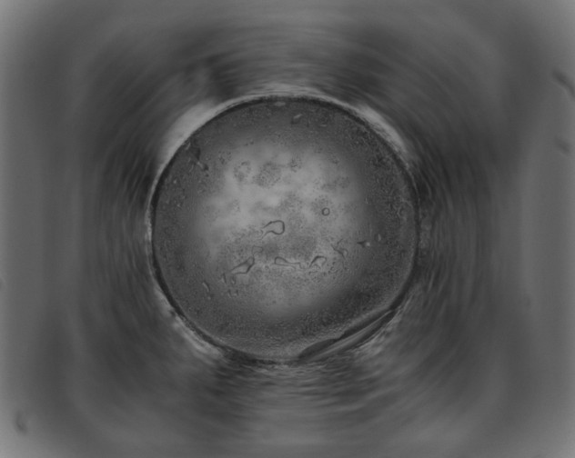 X0000093771287200710161235