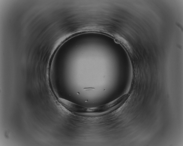 X0000093771288200710161235