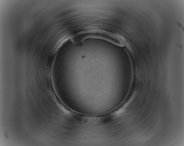 X0000093771289200710161235
