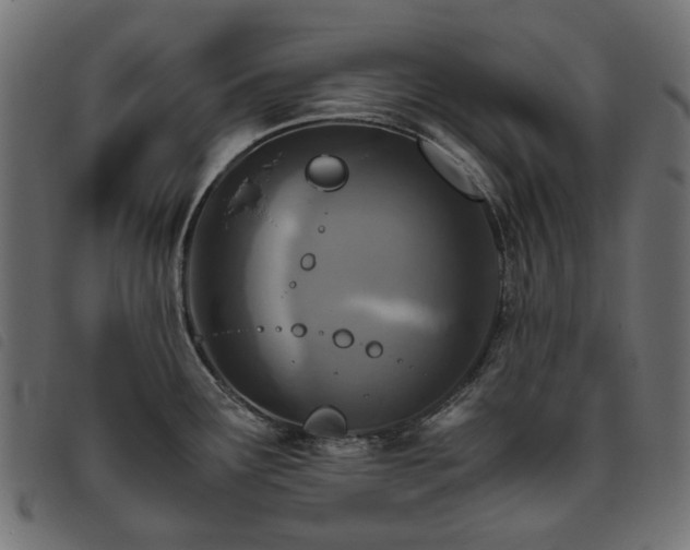 X0000093771291200710161235
