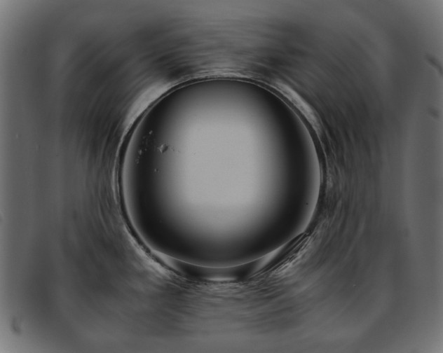X0000093771293200710161235