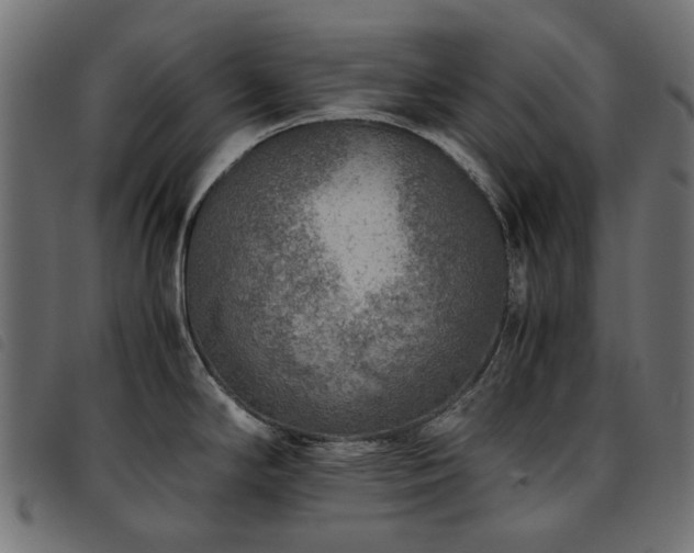 X0000093771294200710161235