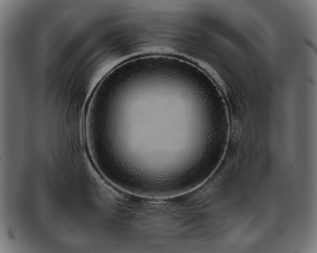 X0000093771295200710161235