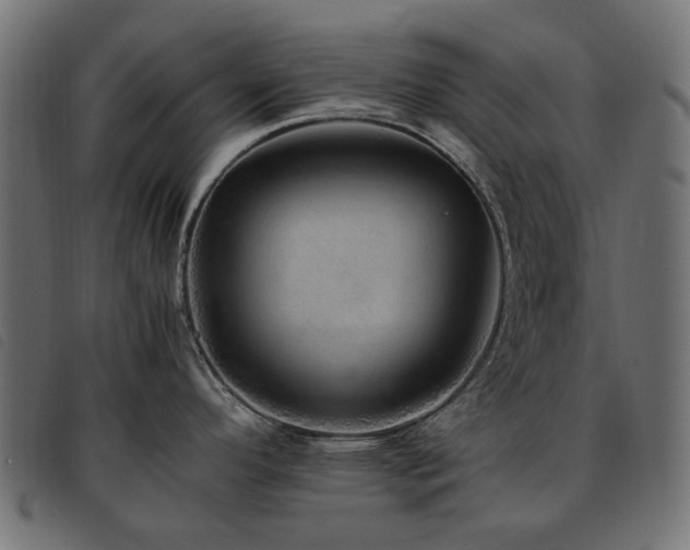 X0000093771296200710161235