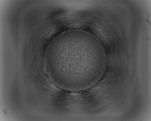 X0000093771297200710161234