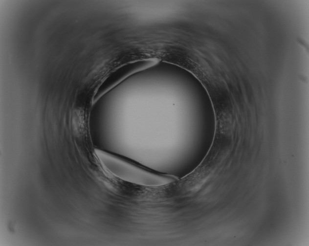 X0000093771298200710161234