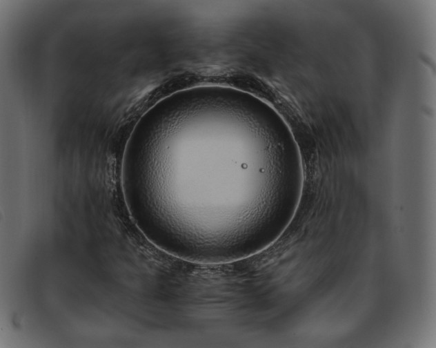 X0000093771301200710161234